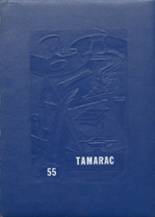 1955 Stephen High School Yearbook from Stephen, Minnesota cover image