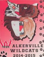 2015 Walkerville High School Yearbook from Walkerville, Michigan cover image
