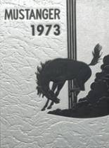 1973 Southwestern Heights High School Yearbook from Kismet, Kansas cover image