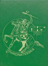 Albany High School 1981 yearbook cover photo