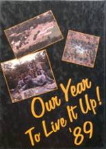 Ellenville High School 1989 yearbook cover photo