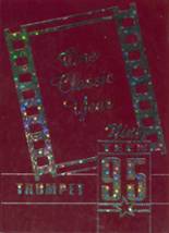 1995 Maine Central Institute Yearbook from Pittsfield, Maine cover image