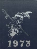 Seymour High School 1973 yearbook cover photo