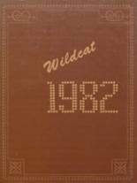 Brunswick High School 1982 yearbook cover photo