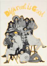 Buffalo High School 1994 yearbook cover photo