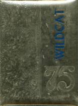 1975 Big Sandy High School Yearbook from Big sandy, Texas cover image