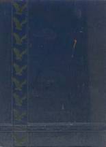 1967 Chesnee High School Yearbook from Chesnee, South Carolina cover image