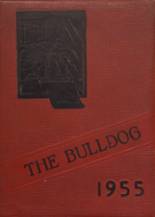1955 Mediapolis High School Yearbook from Mediapolis, Iowa cover image