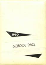 Henry County High School 1960 yearbook cover photo