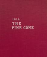 Pine Bluff High School 1914 yearbook cover photo