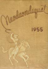 Irondequoit High School 1955 yearbook cover photo