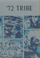 Tylertown High School 1972 yearbook cover photo