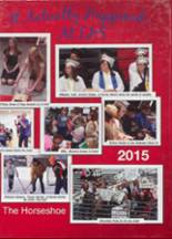 2015 Luck High School Yearbook from Luck, Wisconsin cover image