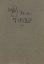 Dewey High School 1917 yearbook cover photo