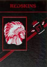 1987 Ft. Loramie High School Yearbook from Ft. loramie, Ohio cover image