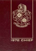 1972 Wauseon High School Yearbook from Wauseon, Ohio cover image