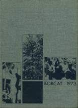Dumas High School 1973 yearbook cover photo