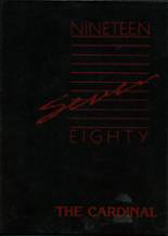 1987 Shelby-Tennant Community High School Yearbook from Shelby, Iowa cover image