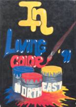 Northeast High School 1991 yearbook cover photo