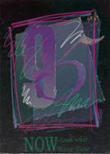 1995 Oxford Hills High School Yearbook from South paris, Maine cover image