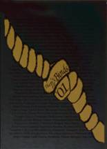 2001 Montevideo High School Yearbook from Montevideo, Minnesota cover image