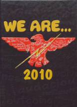 Tecumseh High School 2010 yearbook cover photo