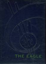 Alvo-Eagle High School 1956 yearbook cover photo