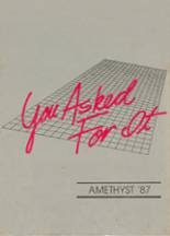 Amherst County High School 1987 yearbook cover photo