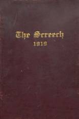 1919 Albia Community High School Yearbook from Albia, Iowa cover image