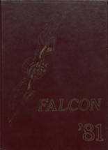 Freeport High School 1981 yearbook cover photo