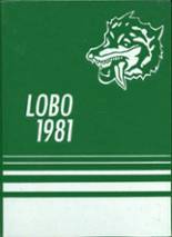 Longview High School 1981 yearbook cover photo