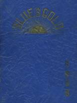 Cadillac High School 1938 yearbook cover photo