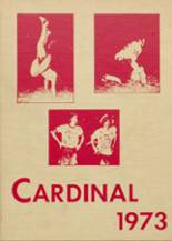 1973 Columbus High School Yearbook from Columbus, Texas cover image