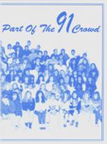 Hamilton High School 1991 yearbook cover photo