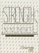 Norfolk High School 1989 yearbook cover photo