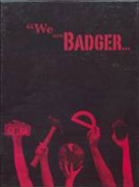 Badger High School 2010 yearbook cover photo