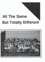 1996 Alwood High School Yearbook from Woodhull, Illinois cover image