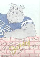 1996 Madison Area Memorial High School Yearbook from Madison, Maine cover image