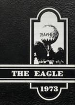 Bremen High School 1973 yearbook cover photo