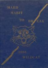 1985 Olive High School Yearbook from Drumright, Oklahoma cover image