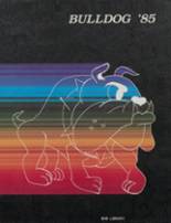 1985 Skiatook High School Yearbook from Skiatook, Oklahoma cover image