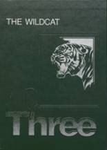 1993 Northwestern High School Yearbook from Mellette, South Dakota cover image