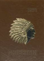 Indian River High School 1971 yearbook cover photo