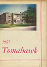 1957 Newman High School Yearbook from Newman, Illinois cover image