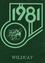1981 Mayville High School Yearbook from Mayville, Michigan cover image