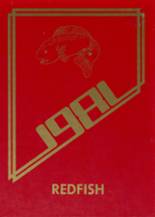 Austwell-Tivoli High School 1981 yearbook cover photo