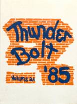 Ottawa-Glandorf High School 1985 yearbook cover photo