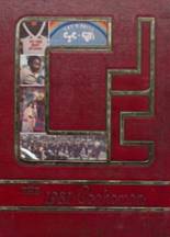 Aggie High School 1981 yearbook cover photo