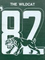 Menifee County High School 1982 yearbook cover photo