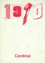 1990 Bison High School Yearbook from Bison, South Dakota cover image